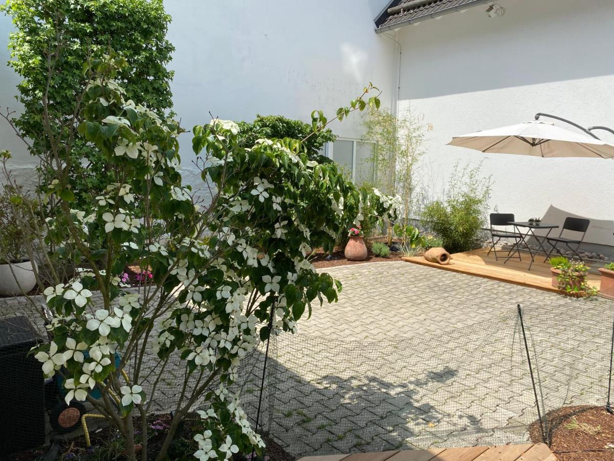 Altstadt-Chalet @Conny'S Brilon Exterior photo